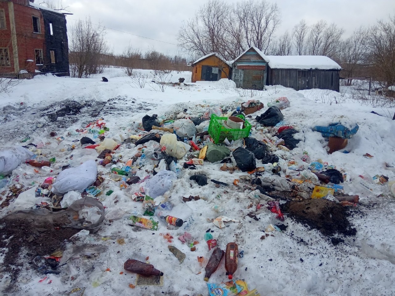 «ЭкоИнтегратор» оштрафовали за самовольный сброс отходов